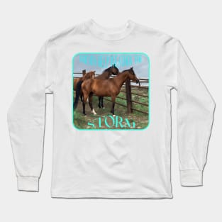 Friends Help Weather the Storm Long Sleeve T-Shirt